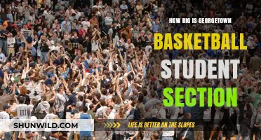 Georgetown Basketball Student Section: How Massive Is It?