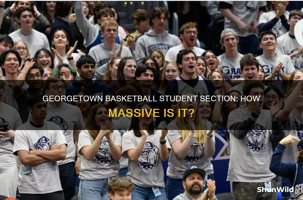 how big is georgetown basketball student section