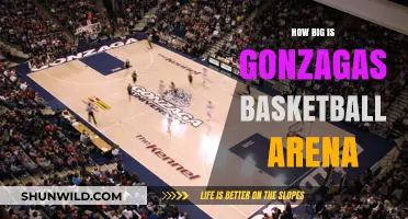 Gonzaga's Basketball Arena: A Giant's Court?