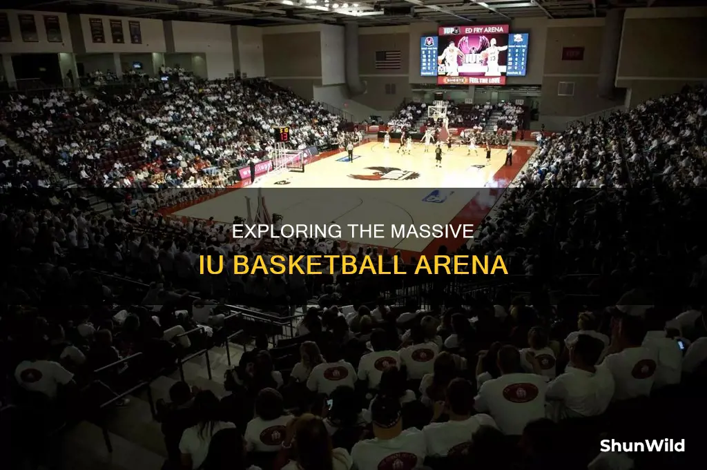 how big is iu basketball arena