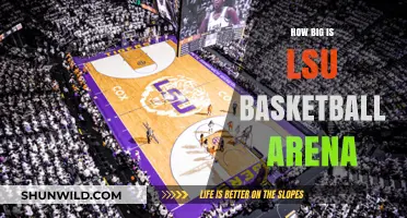 Exploring the Massive LSU Basketball Arena