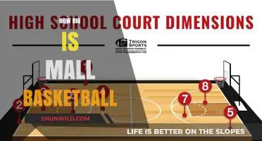 The Massive Impact of Mall Basketball