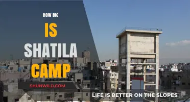 Exploring Shatila Camp: Size, History, and Life in Beirut's Refugee Haven
