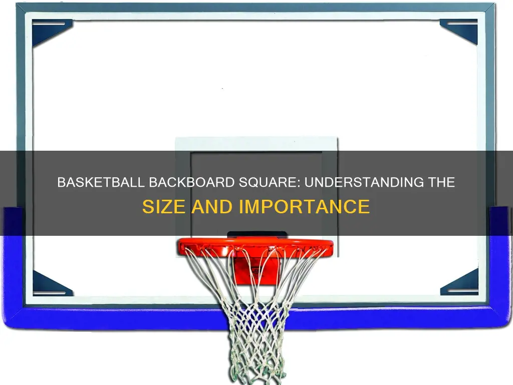 how big is square on basketball backboard