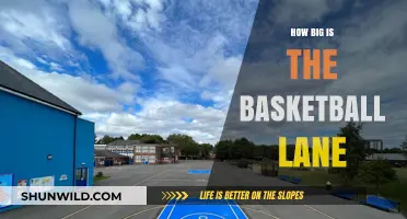 The Basketball Lane: Understanding the Vital Dimensions