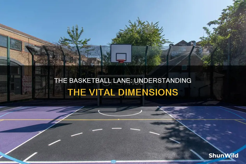 how big is the basketball lane