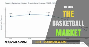 The Global Basketball Market: Size and Scope