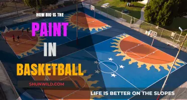 The Paint: Basketball's Most Valuable Real Estate