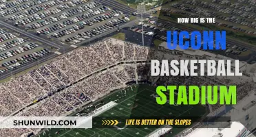 Exploring the Massive UConn Basketball Stadium