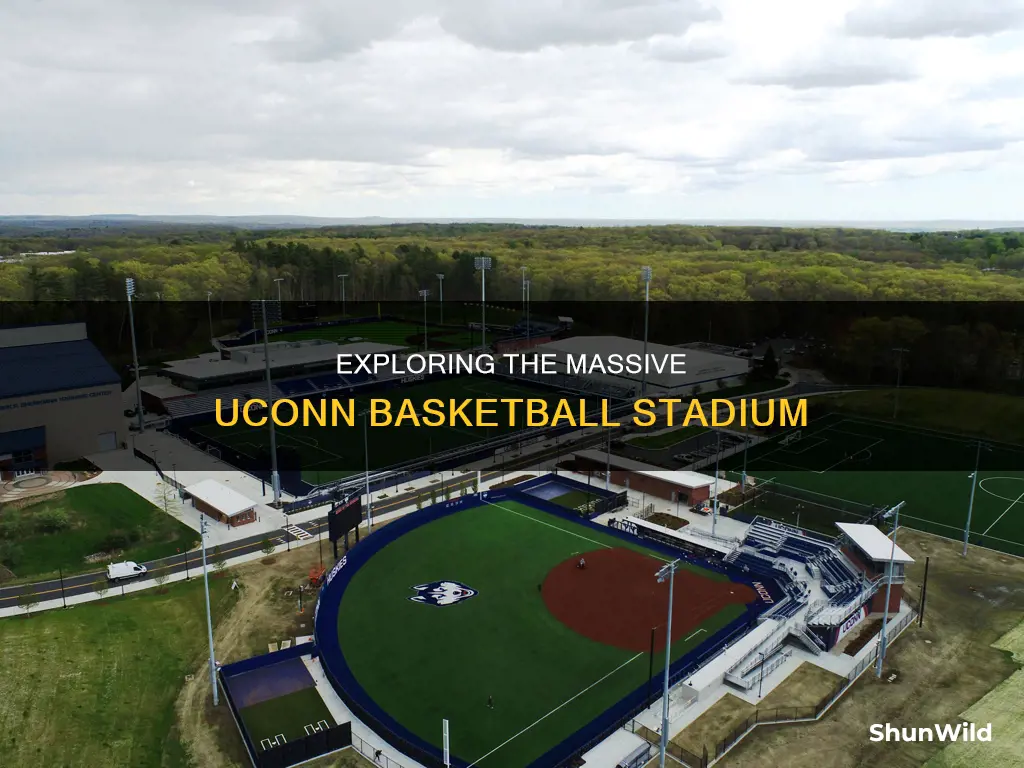 how big is the uconn basketball stadium