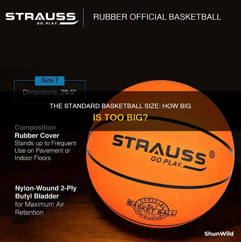 how big should a basketball be
