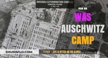 Auschwitz Camp Size: Uncovering the Vastness of the Nazi Death Camp