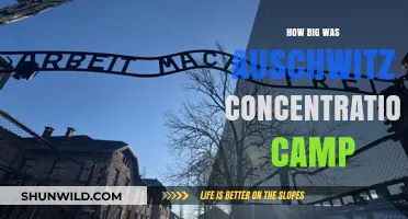 Auschwitz Concentration Camp: Unveiling the Vast Scale of Its Size