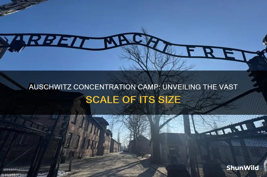 how big was auschwitz concentration camp