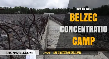 Unveiling the Size and Scope of Belzec Concentration Camp