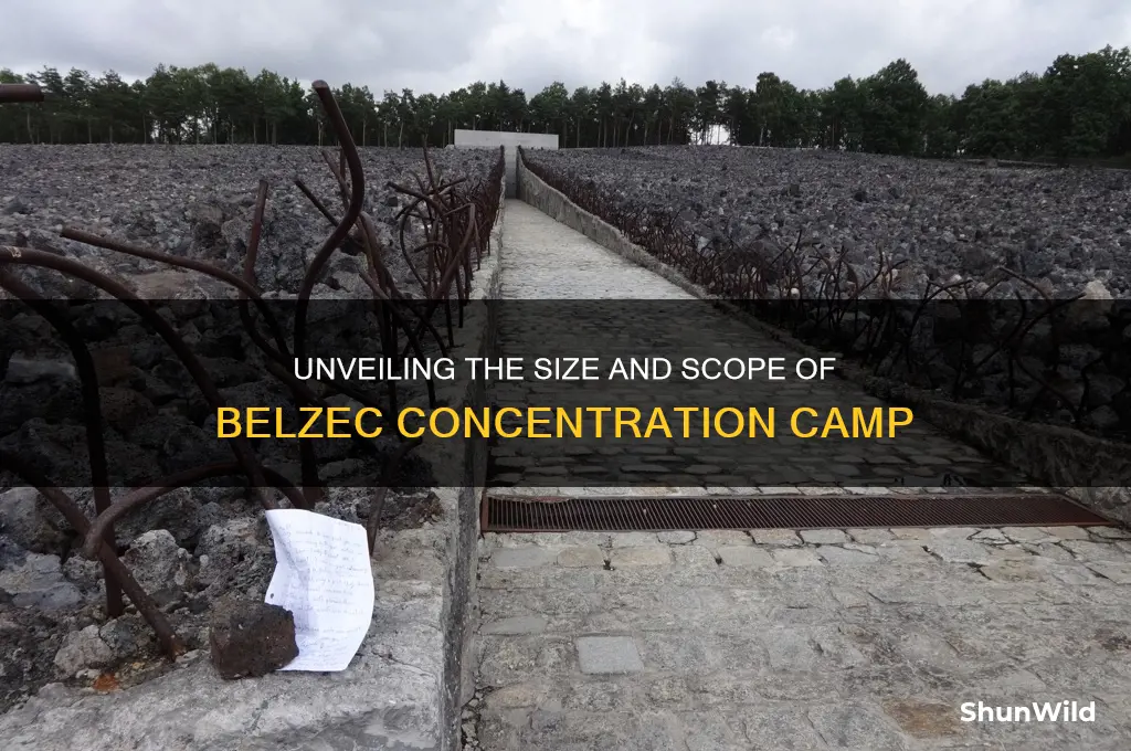 how big was belzec concentration camp