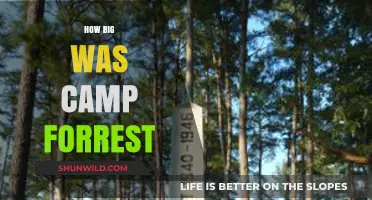 Camp Forrest's Size: Uncovering the Vast Scale of the Military Base