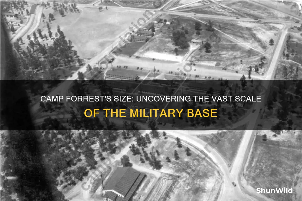 how big was camp forrest