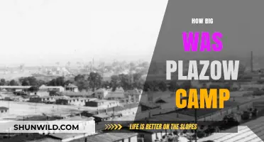 Exploring the Size and Scope of Plazow Camp: A Historical Overview