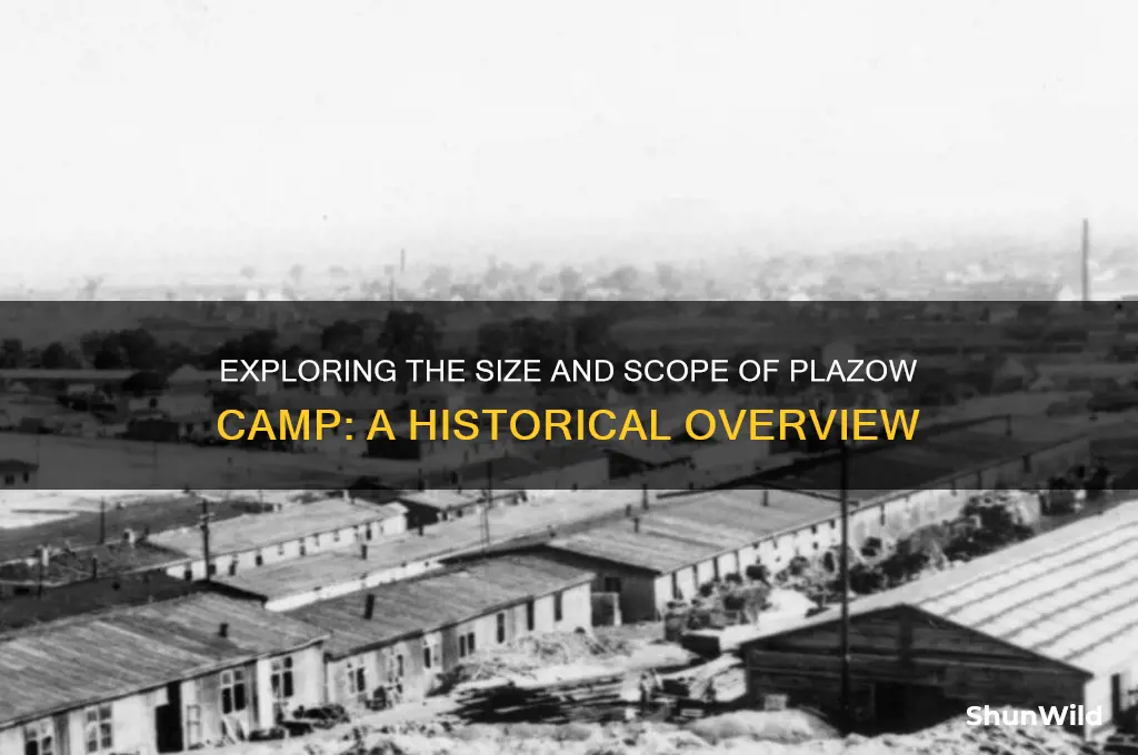 how big was plazow camp