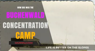 Buchenwald Concentration Camp: Size, Scope, and Historical Significance Explored