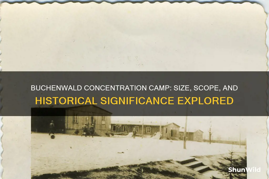 how big was the buchenwald concentration camp