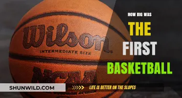 The Original Basketball: Size and Evolution