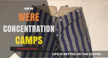 Unveiling the Scale: Size and Scope of Concentration Camps