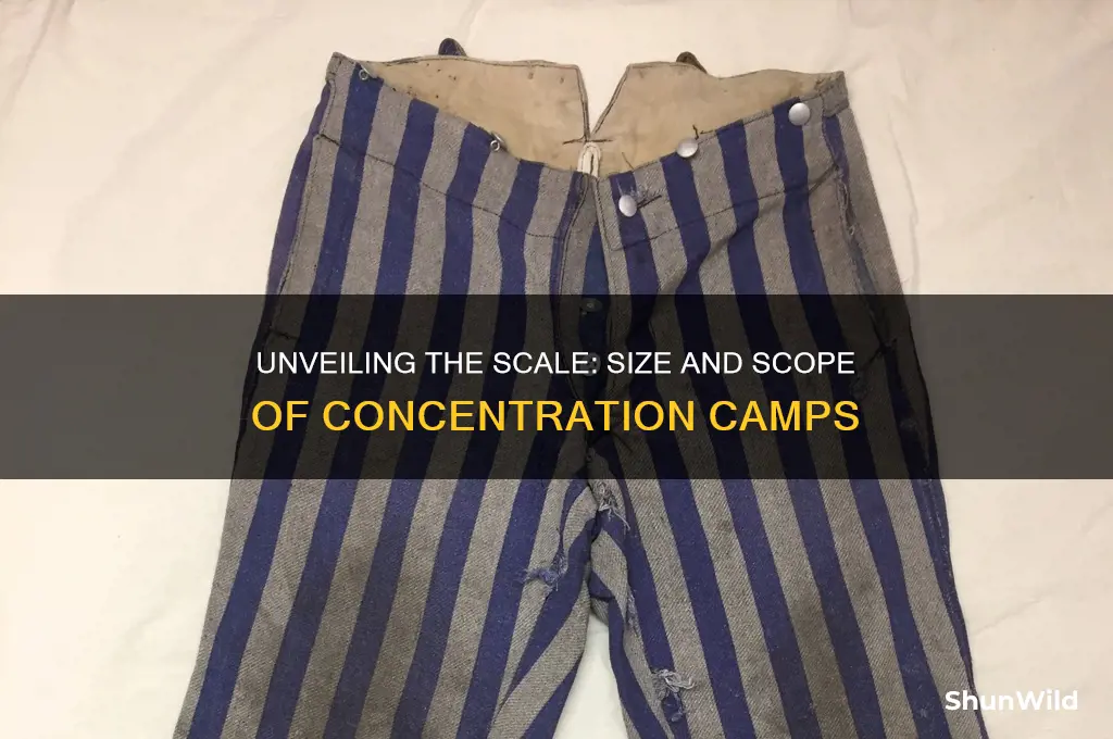 how big were concentration camps