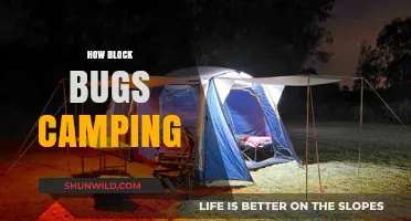 Effective Tips to Block Bugs and Enjoy Camping Comfortably