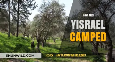 Bnei Yisrael's Campsites: A Journey Through Divine Order and Unity