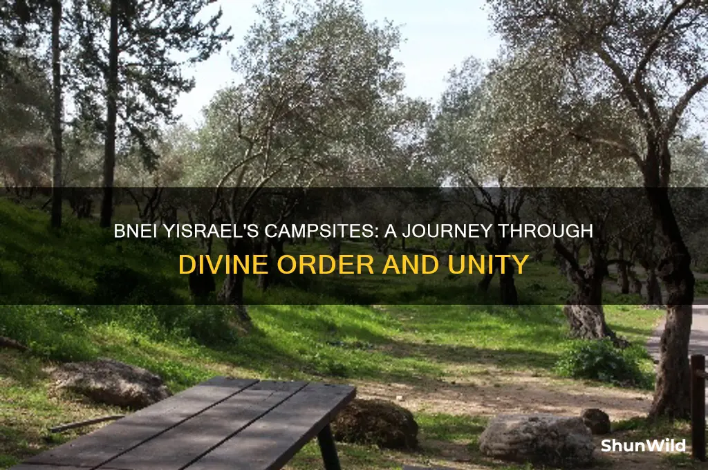 how bnei yisrael camped
