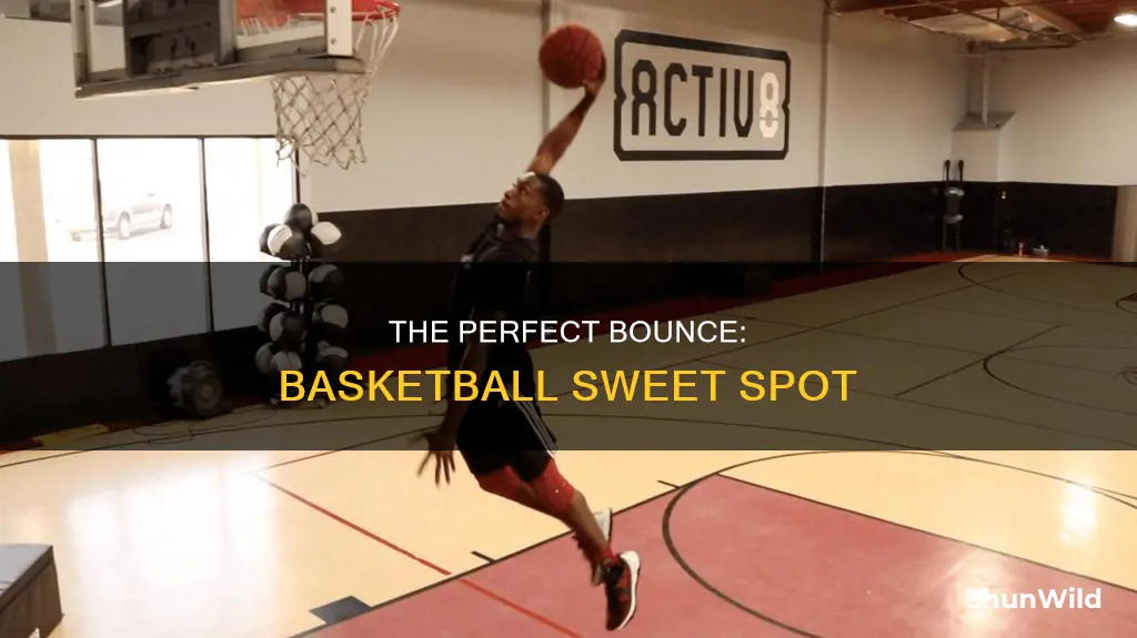 how bounce should a basketball be