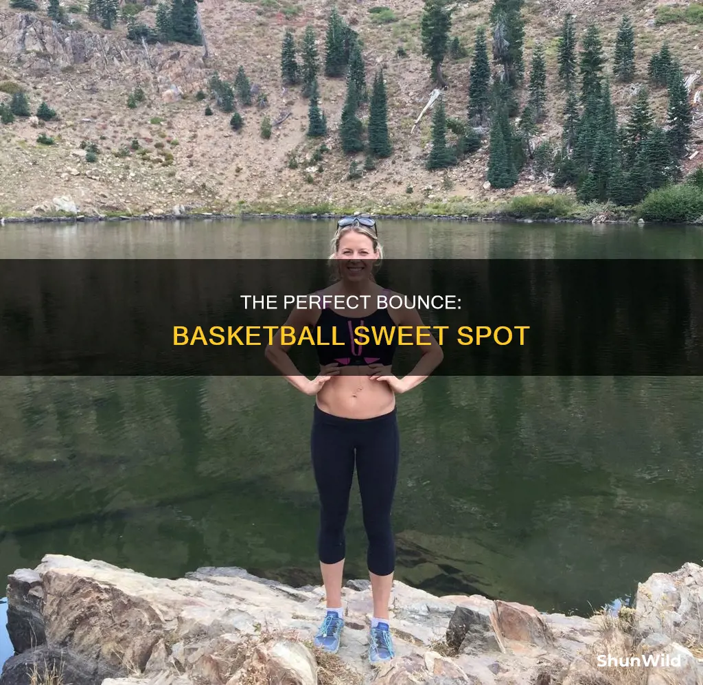 how bouncy should a basketball be