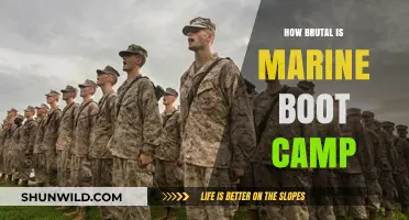 Marine Boot Camp: Unveiling the Harsh Realities of Military Training