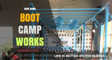 How Burn Boot Camp Works: A Comprehensive Guide to Fitness Success