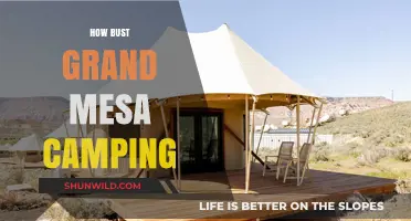 Ultimate Guide to Busting Grand Mesa Camping Myths and Tips