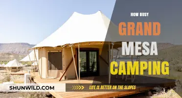 Grand Mesa Camping: Busy Trails, Peaceful Peaks, and Adventure Awaits