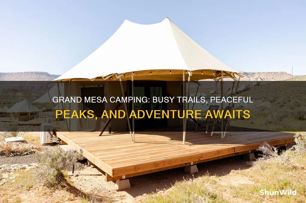how busy grand mesa camping