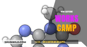 Caffeine's Impact: Unveiling the Science Behind Your Morning Energy Boost Camp