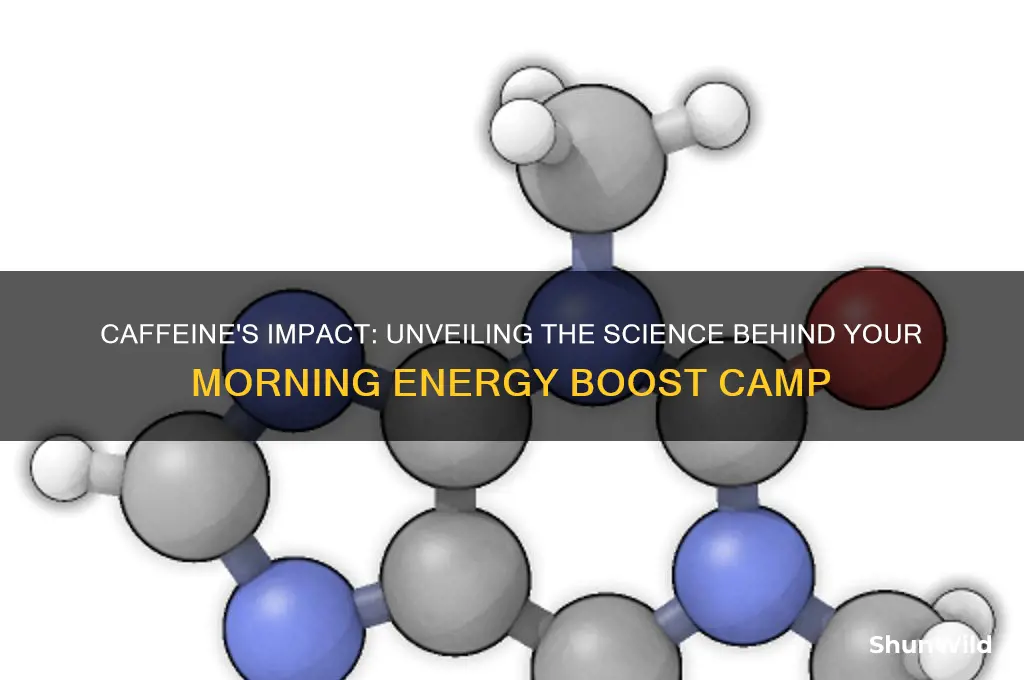 how caffeine works camp