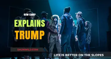 Camp Culture Decoded: Understanding Trump's Theatrical Political Persona