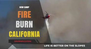 How Campfires Sparked California's Devastating Wildfires: A Deep Dive