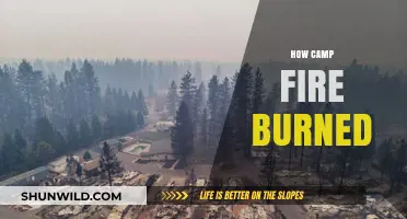 Unraveling the Devastating Blaze: How the Camp Fire Ravaged Paradise