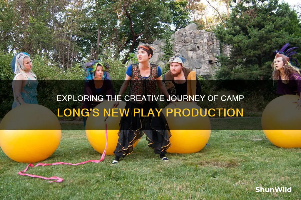 how camp long new play
