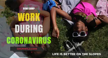 Summer Camp Adaptations: Navigating Operations Amid the Coronavirus Pandemic