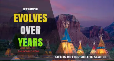 Camping's Transformation: A Journey Through Time and Trends