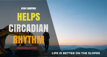 Camping Resets Your Circadian Rhythm: Nature's Cure for Better Sleep