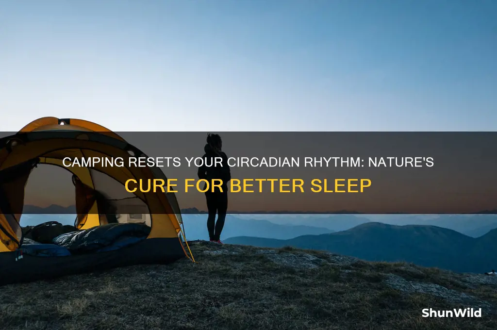 how camping helps circadian rhythm