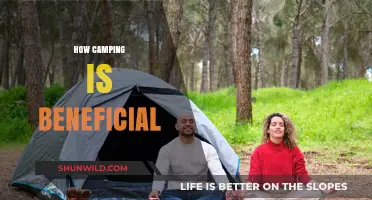 Camping Benefits: Nature's Healing Power for Mind, Body, and Soul